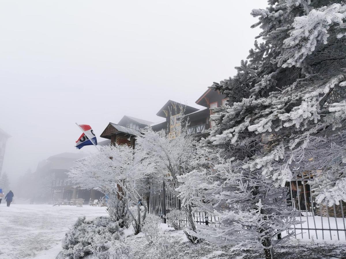 Gorgeous House For Ski Retreat Or Mountain Vacations Snowshoe Εξωτερικό φωτογραφία